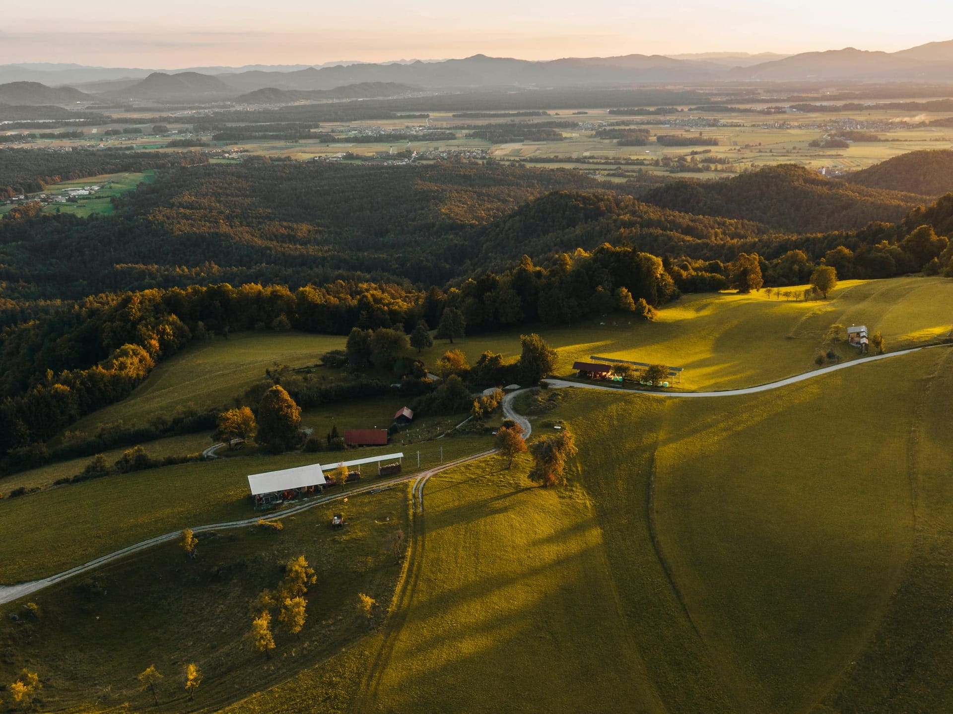 Landstraßen, die sich im goldenen Abendlicht durch die Felder gabeln